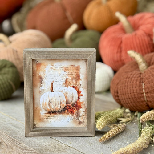 NEW! Fall for 2026