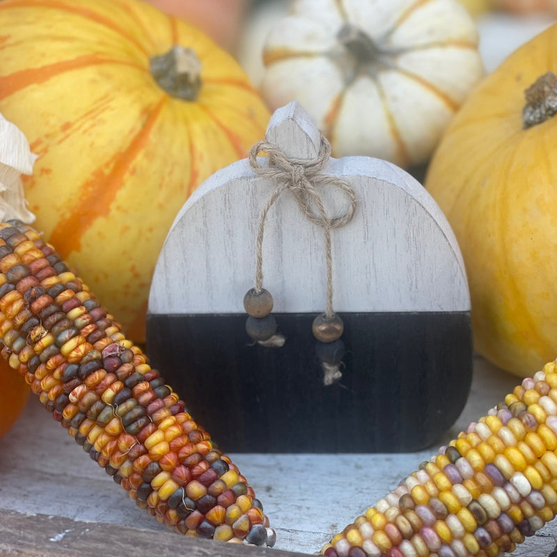 CA-5189 - BW Plank Pumpkin