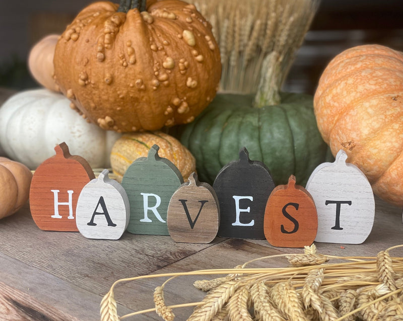 CA-5199 - Harvest Pumpkin Cutout Sitter