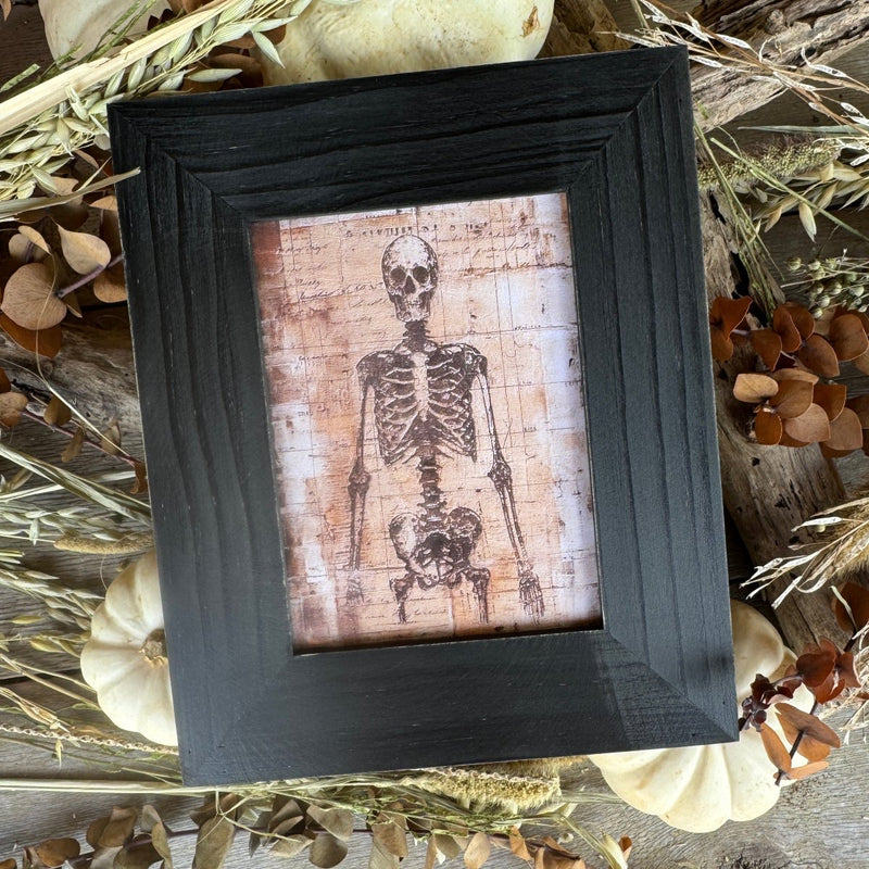 Skeleton Frame 