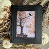 Spooky Tree Frame 