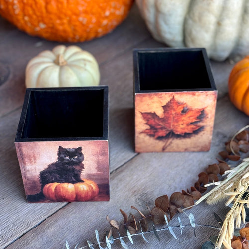 Leaf/Black Cat Container 