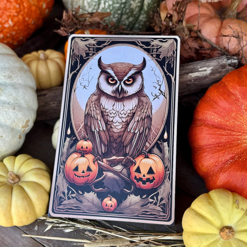Owl Tarot Card Box 