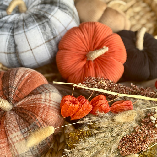 Med. Orange Corduroy Pumpkin 