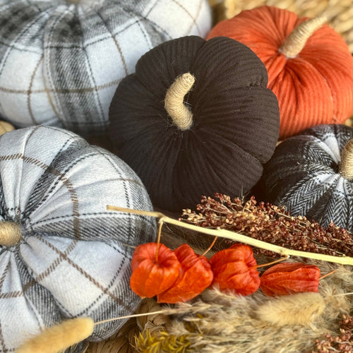 Med. Black Corduroy Pumpkin 