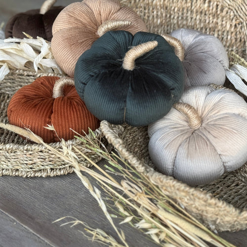 Med. Hunter Corduroy Pumpkin 