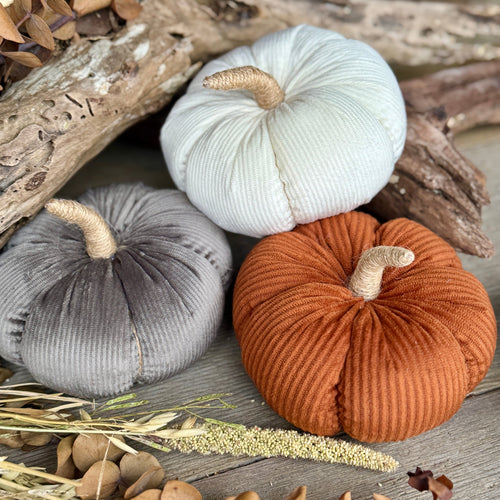 Med. Rust Corduroy Pumpkin 