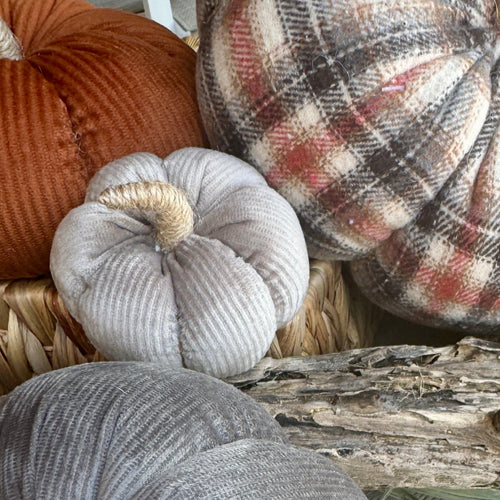 Sm. Silver Corduroy Pumpkin