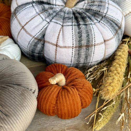 Sm. Rust Corduroy Pumpkin 