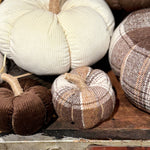 Small Austin  Plaid Pumpkin