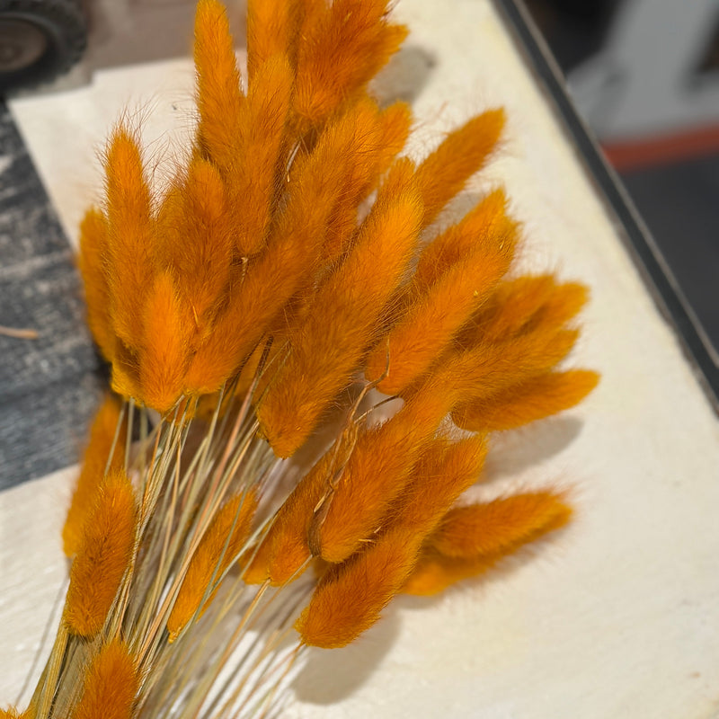 DF-7074 - Rust Bunny Tails