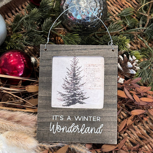 Wonderland Photo Ornie