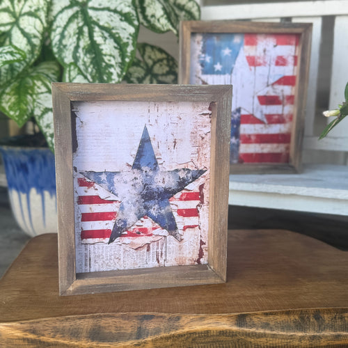 SW-3229 - Salute the Flag Frame