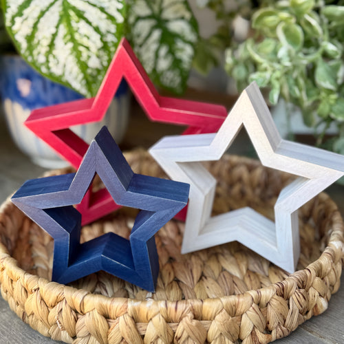 PS-8301 - Navy Hollow Star