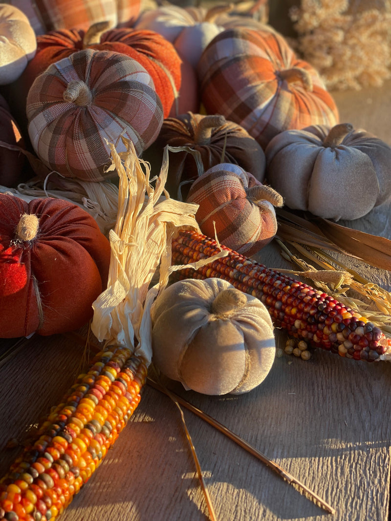 CF-3125 - Lrg. Walnut Velvet Pumpkin