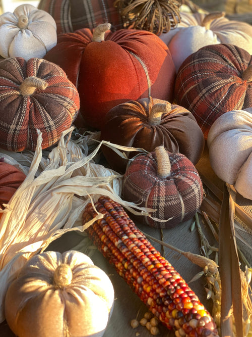 CF-3175 - XL Harvest Plaid Fabric Pumpkin