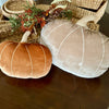 Lrg. Desert Velvet Pumpkin Pillow 