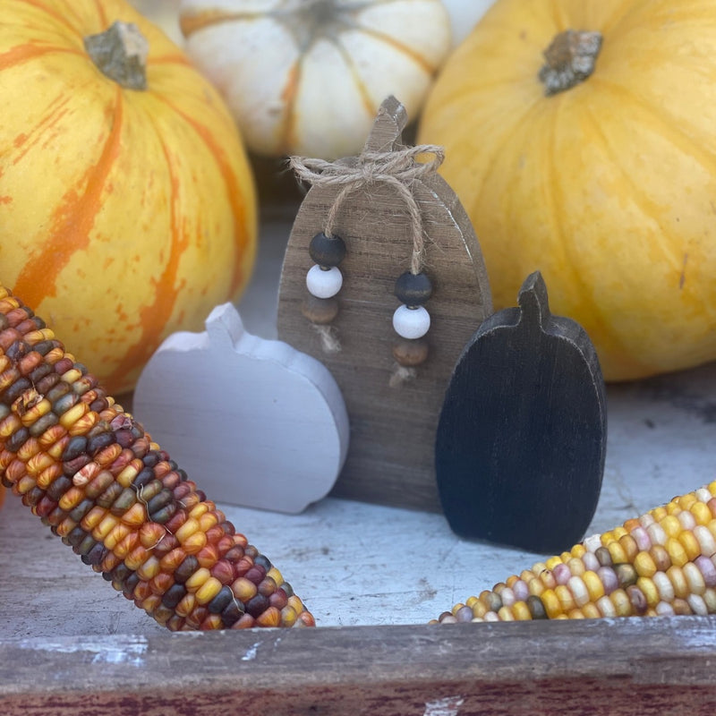 CA-5089 - White/Wood/Blk Pumpkin Trio