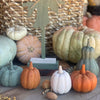 CA-5254 - Wide Green 3D Carved Pumpkin