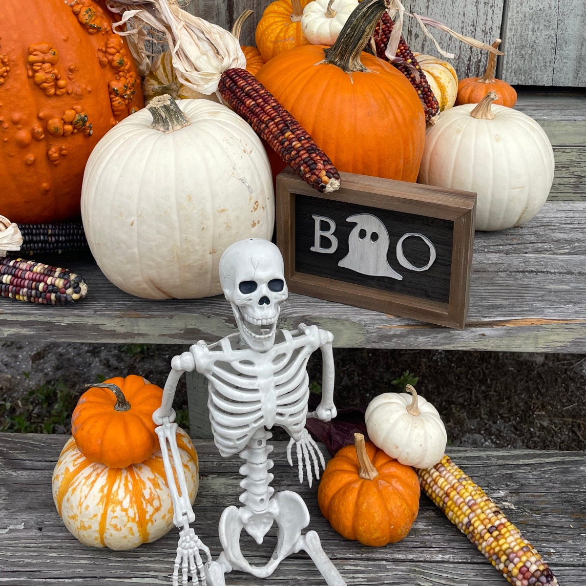 Boo Fall Background CA-5155 - Boo/Fall Laser Frame (Reversible) – Collins Fresh + Original