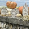 CA-5162 - Sm. Pattern Carved Pumpkin