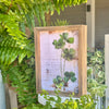 SW-3225 - Wild Clover Frame