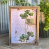 SW-3225 - Wild Clover Frame