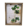 Wild Clover Frame