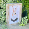 SW-3242 - Sunday Best Bunny Frame