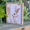 SW-3262 - White Rabbit Frame