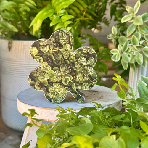 SW-3322 - Riona Shamrock