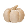 CF-3115 - Sm. Desert Velvet Pumpkin