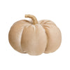 Lrg. Desert Velvet Pumpkin 