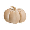 CF-3124 - Lrg. Desert Velvet Pumpkin