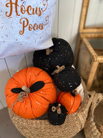 CF-2419 - XL Black Speckled Pumpkin