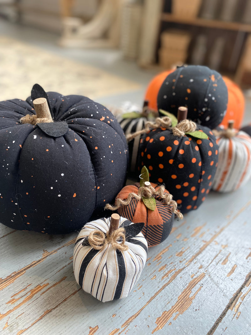 CF-2419 - *XL Black Speckled Pumpkin