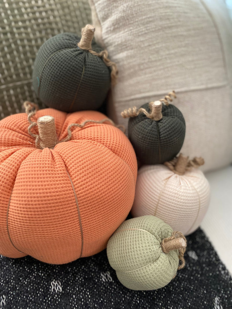 CF-2833 - Med. Dark Green Waffle Pumpkin