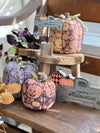 CF-2247 - *Lrg. Gray Web Fabric Pumpkin