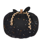 CF-2419 - XL Black Speckled Pumpkin