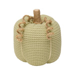 CF-2840 - Sm. Light Green Waffle Pumpkin