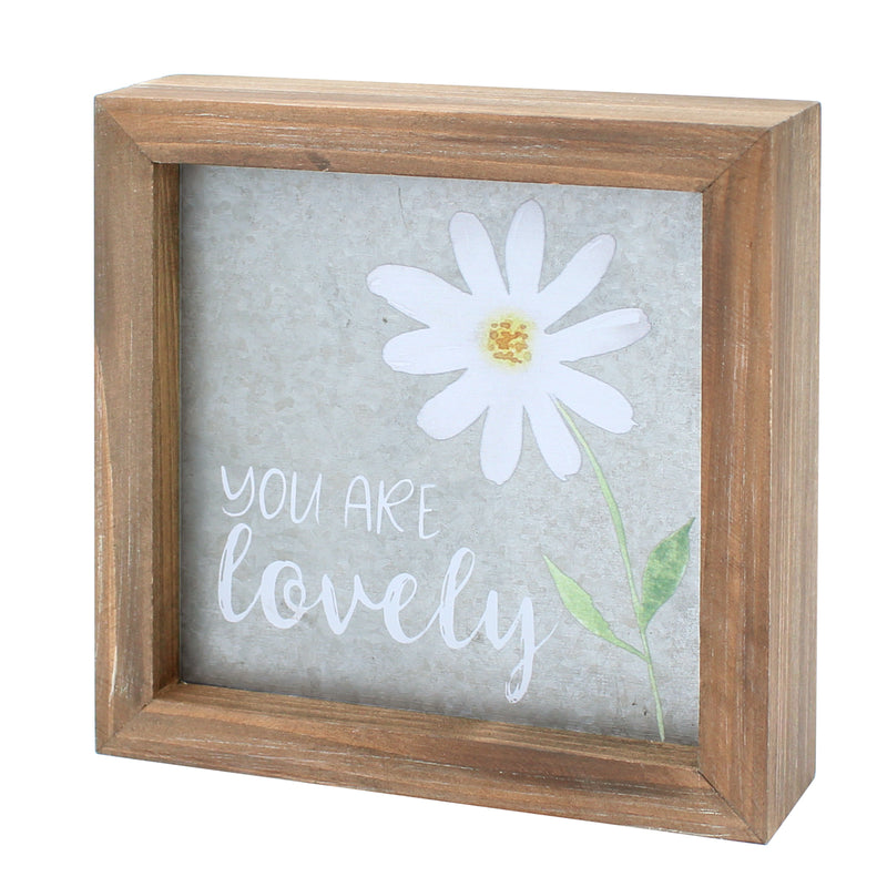 PS-7658 - You Are Lovely Framed Sign